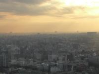 Thumbnail View from Tokyo Tower. Scary, no?.jpeg 