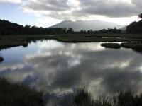 Thumbnail A pond in the marsh.jpeg 