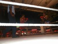 Thumbnail 'Ladies' Thai Boxing....jpeg 