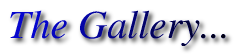 gallery logo